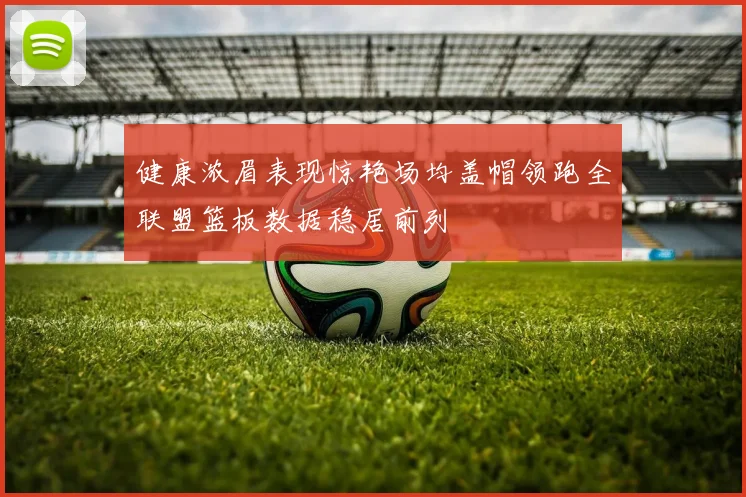 健康浓眉表现惊艳场均盖帽领跑全联盟篮板数据稳居前列